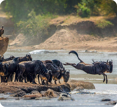 Serengeti National Park