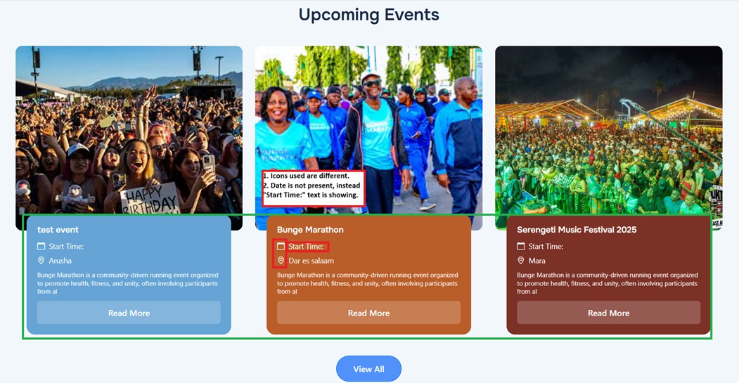 Dolphin Watching & Snorkeling Combo Tour